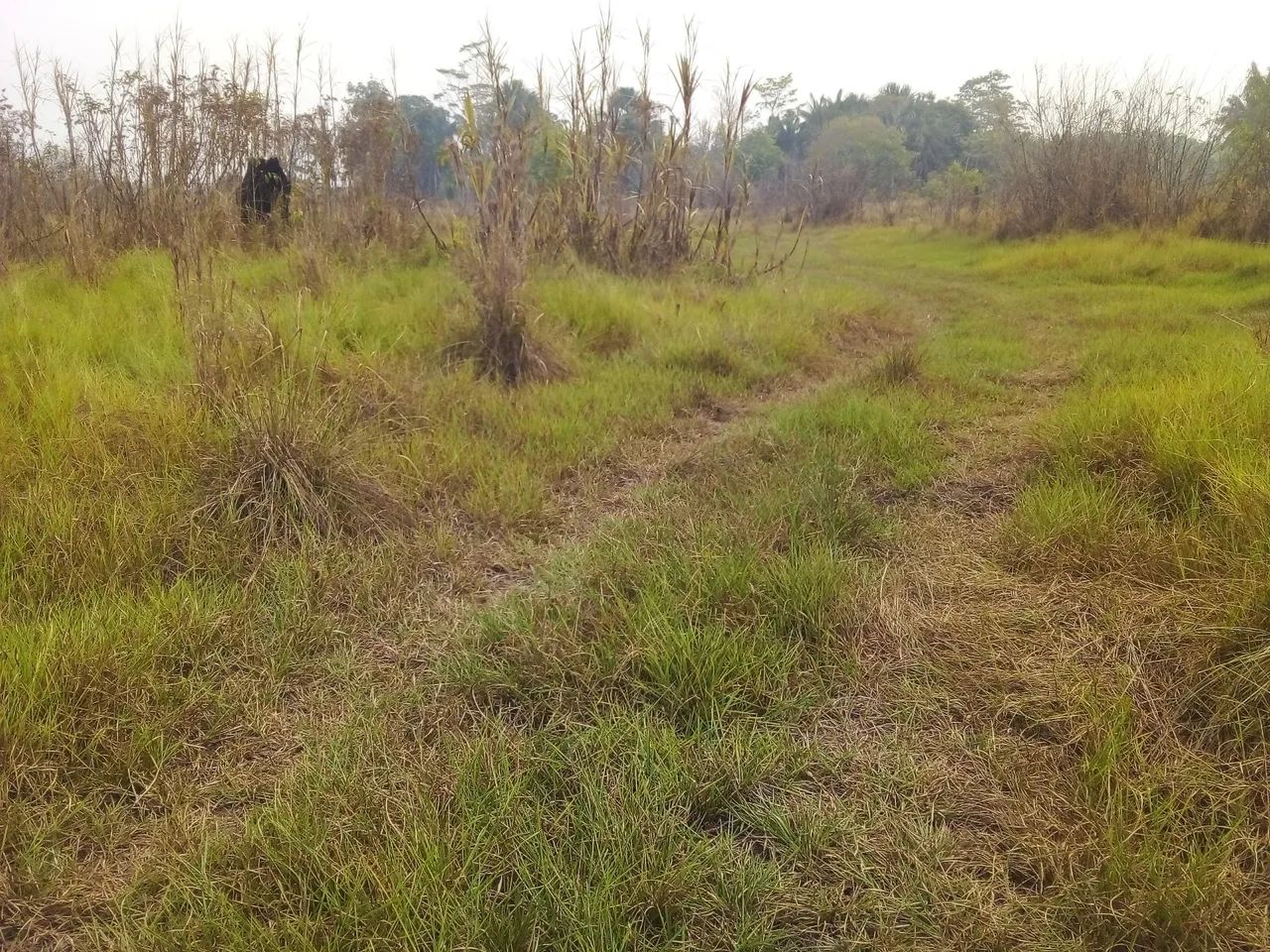 foto - Rio Branco - Área Rural de Rio Branco