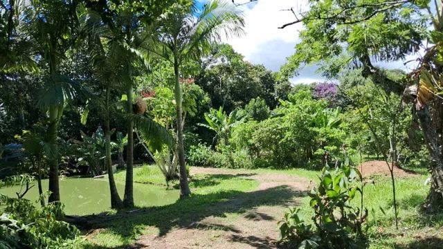 Chácara / Sítio 2000m2, Santo Amaro da Imperatriz 800m do alfalto - Vendo ou troco - Foto 2