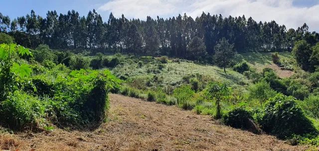 Excelente terreno em Piedade - Foto 11