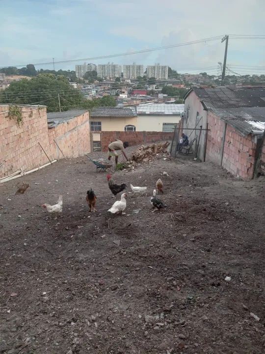 foto - Manaus - Tancredo Neves