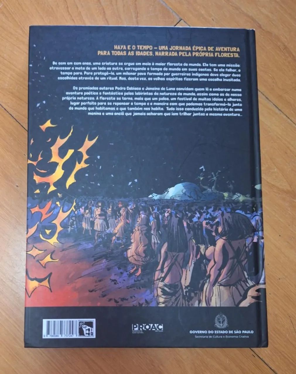 Haya e o tempo - Foto 4