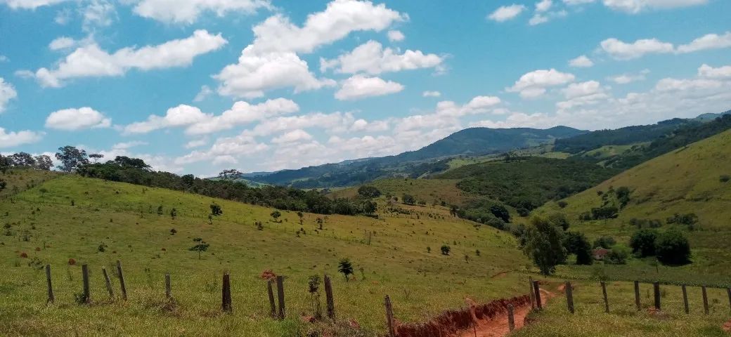 S201 - Sítio com 2,2 ha  - Foto 4