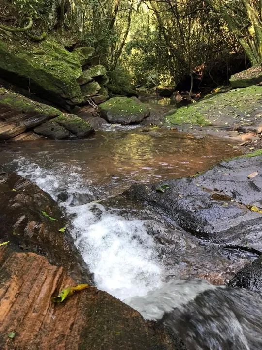 Sítio próximo a Gramado Lugar Refrescante e tranquilo! - Foto 4