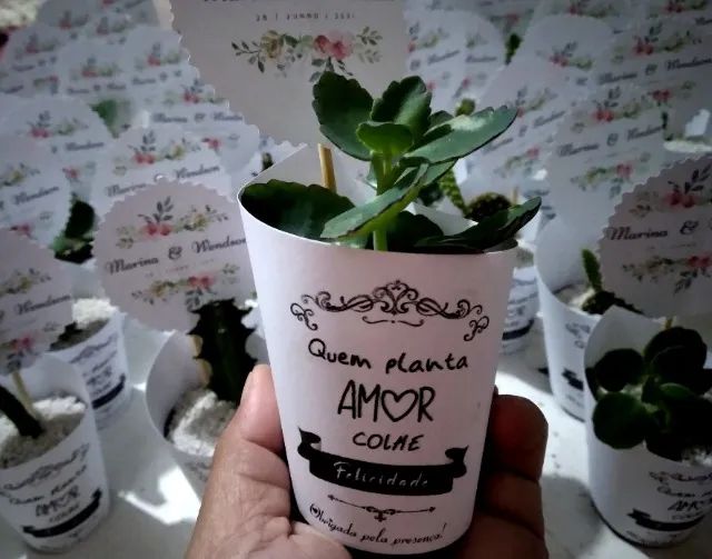 Lembrancinhas personalizadas com mini-cactos e mini-suculentas