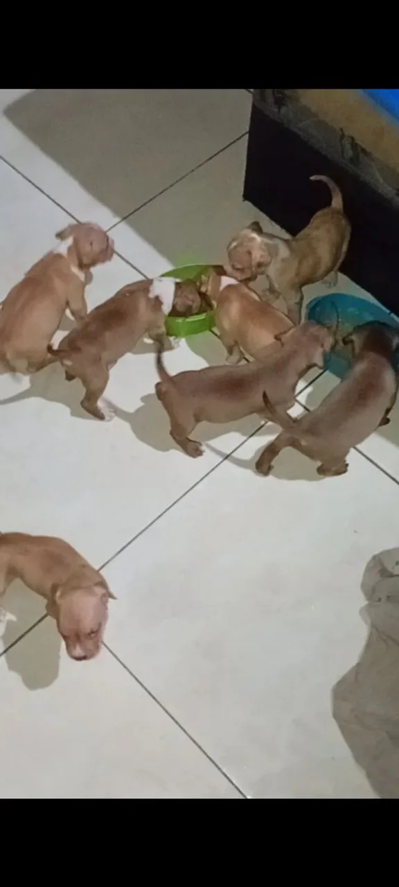 Pit monster