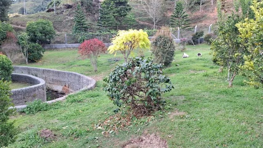 Espetacular Chácara com 12.000m², na Belíssima Mantiqueira, Riquíssima em Água Delfim More - Foto 6