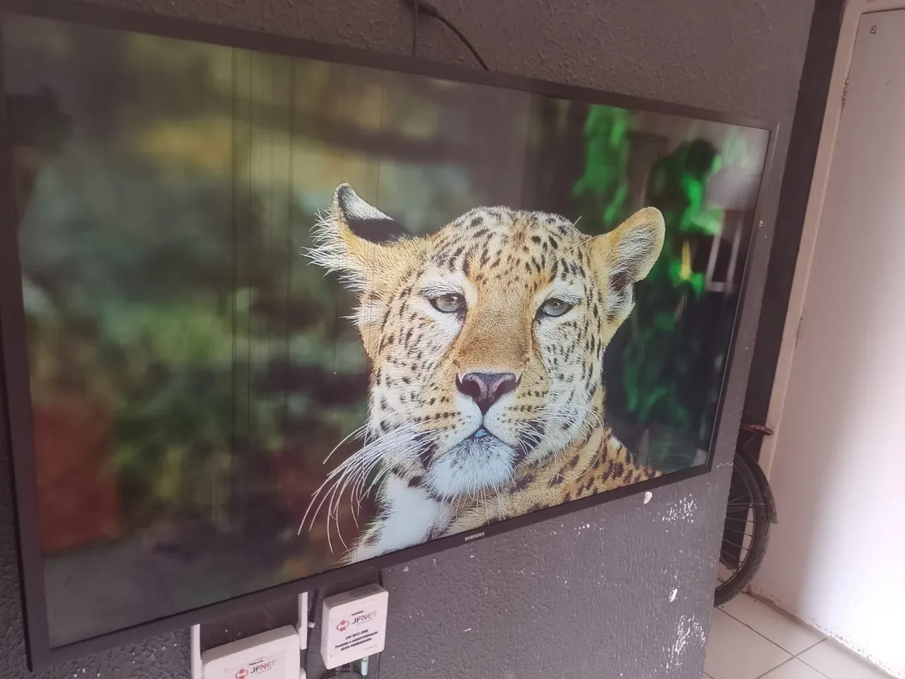 TV Samsung com imagem de Leopardo