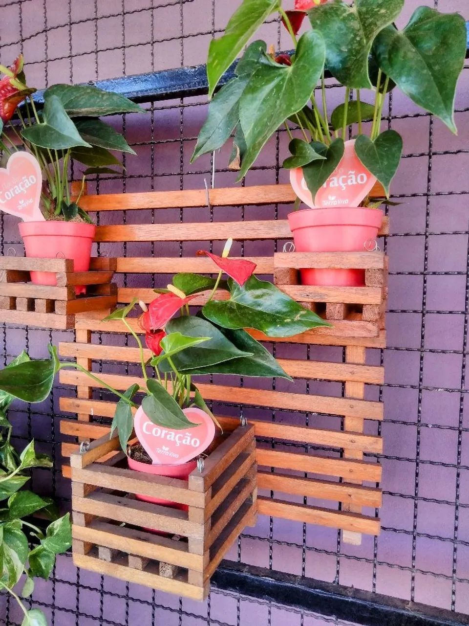 PAINEL DE MADEIRA PARA PLANTAS  - Foto 3