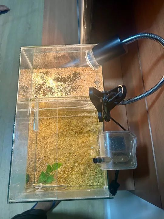 AQUATERRÁRIO PARA TARTARUGA COMPLETO - Foto 3