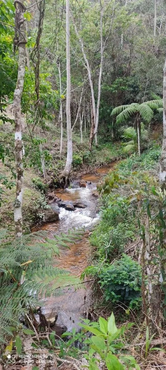 Terreno 24000m2 - 8km Sao Roque da Maravilha - Foto 11