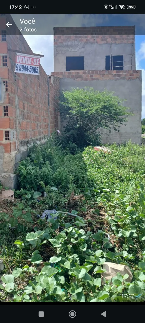 Terreno