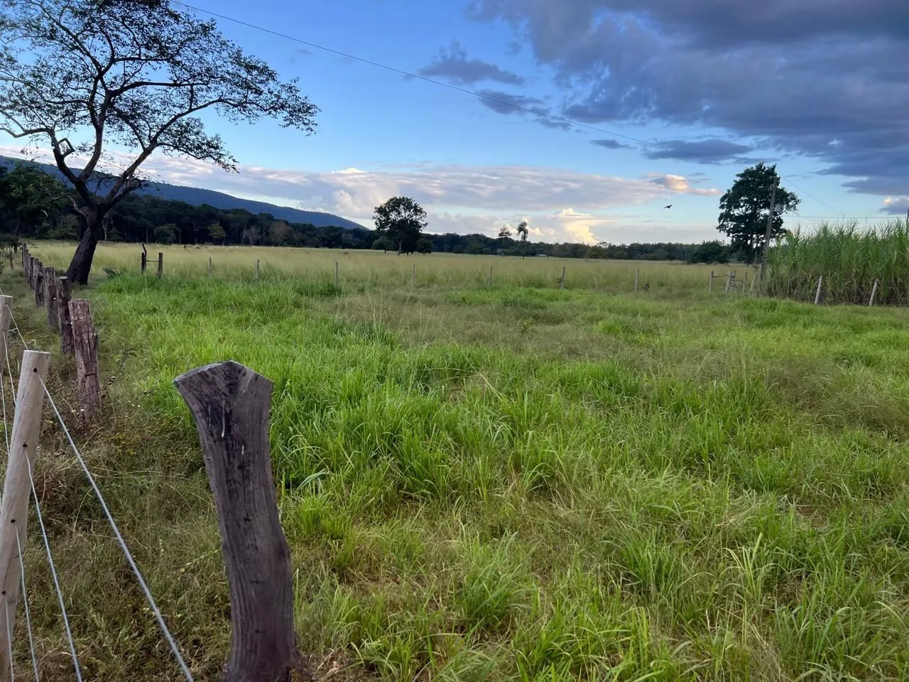 Sítio a 55 km de Cuiabá e 2 km fora do asfalto 