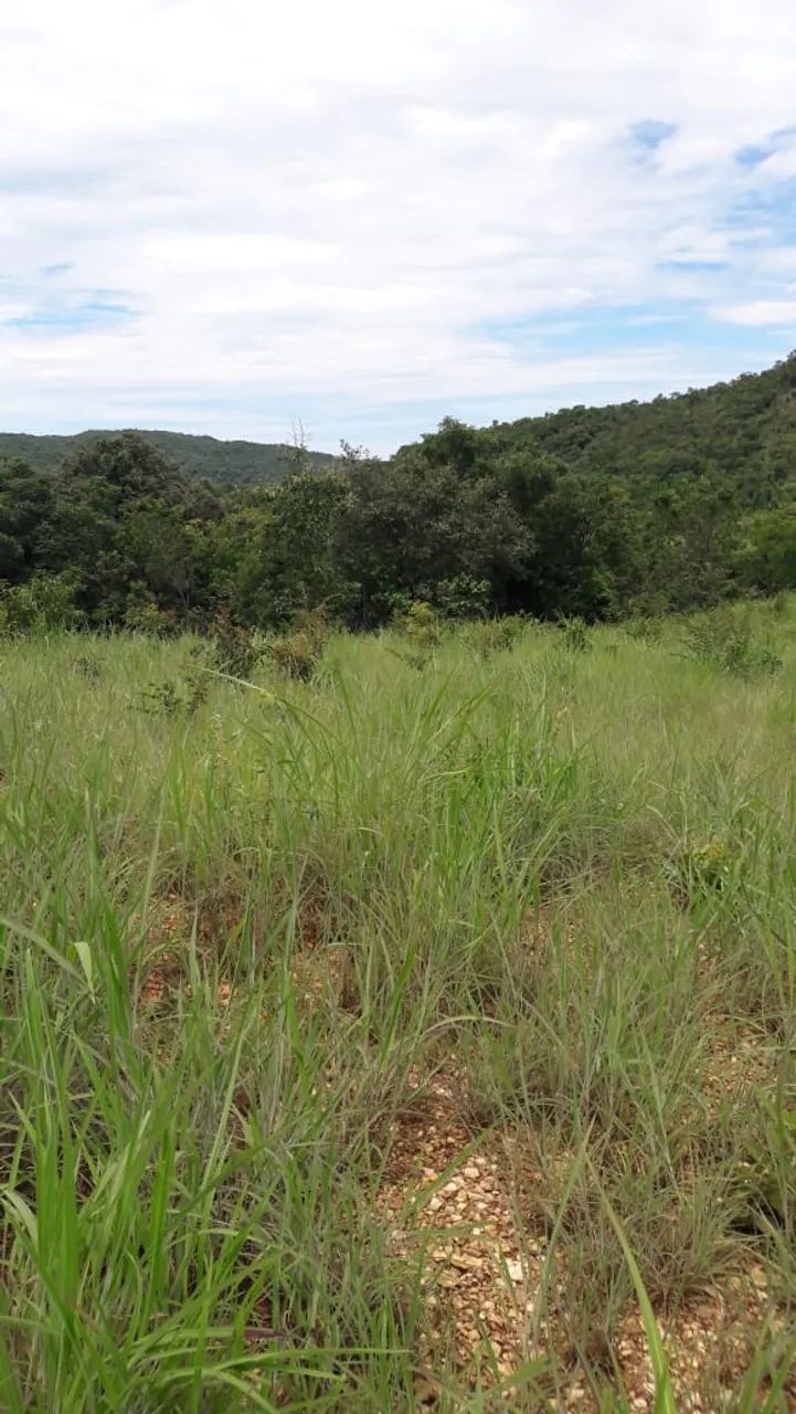 FAZENDA 43,5 ALQ  - Foto 10