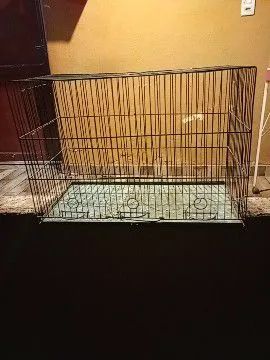 Viveiro e gaiolas - Foto 4