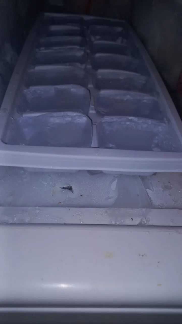 Geladeira  - Foto 2