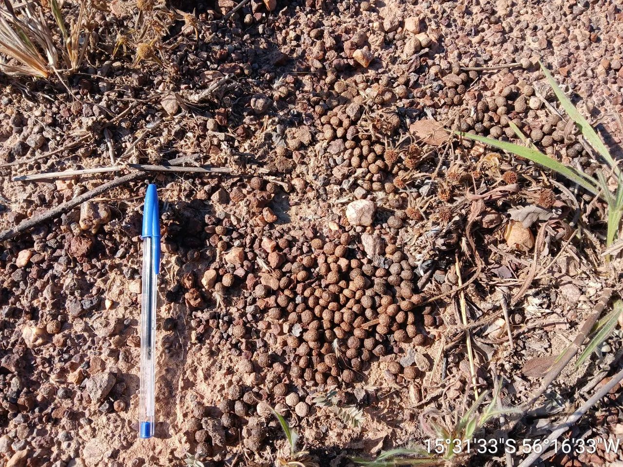 Licença Ambiental - Estudo  de Fauna e Inventário Florestal  - Foto 2