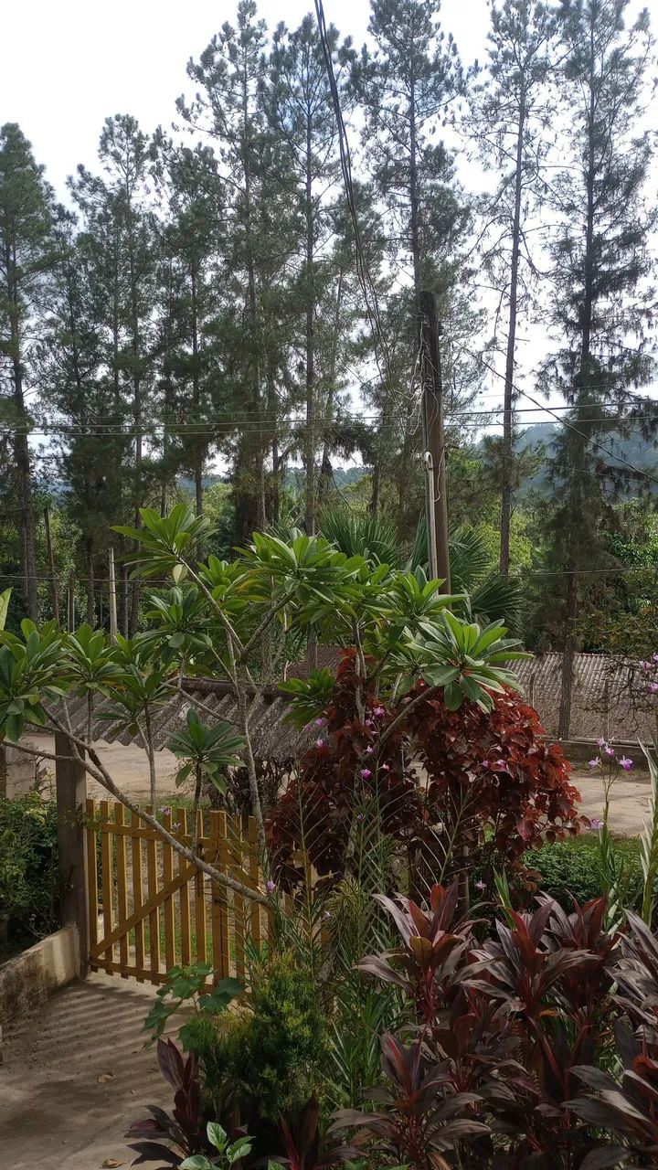 Foto - Praia Grande - Tupi
