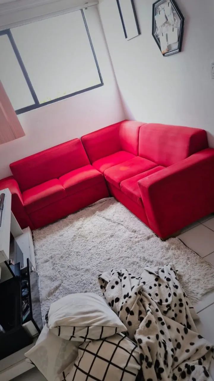 Hs estofados  - Foto 3