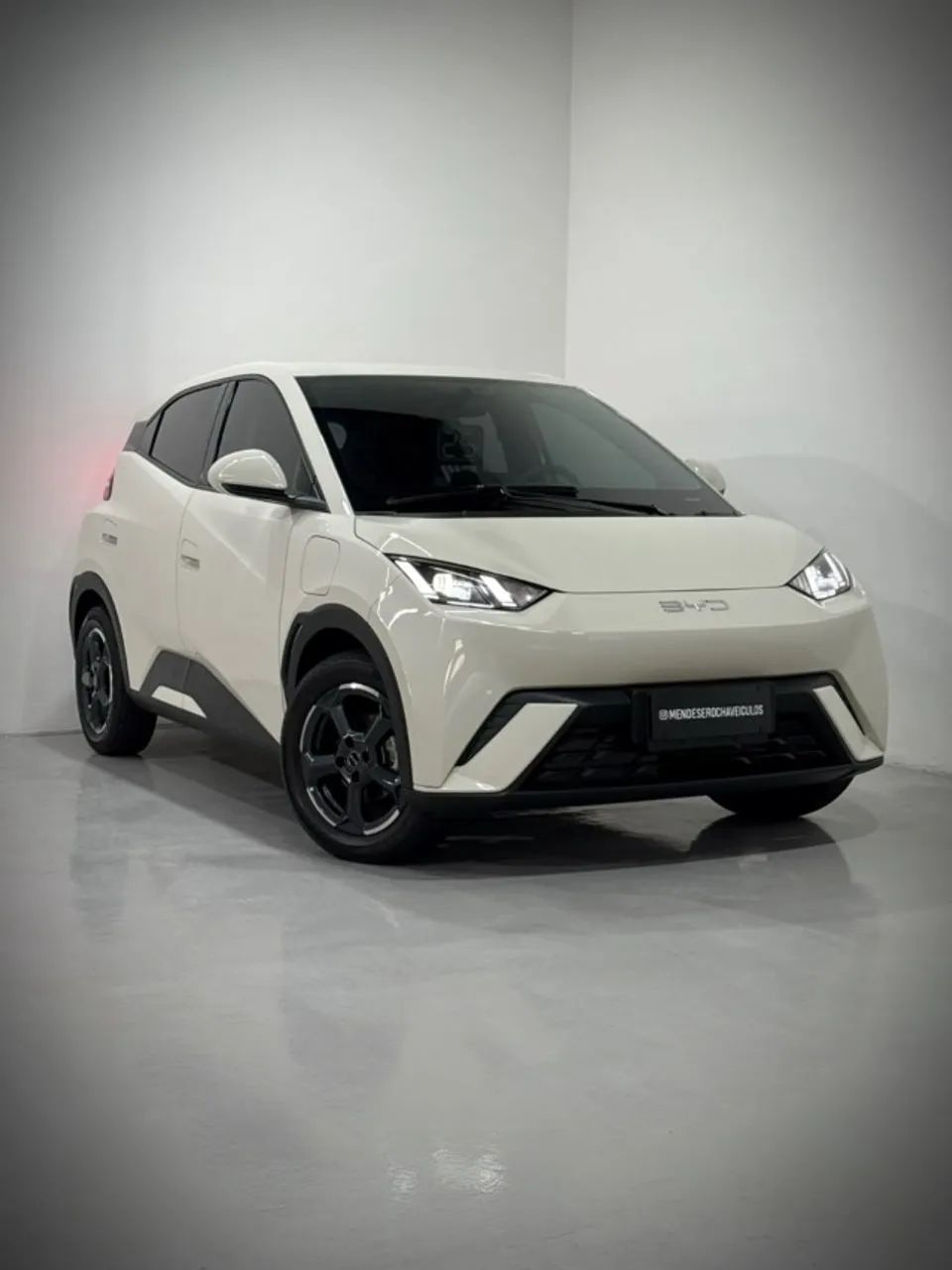 BYD Dolphin Mini (Elétrico) 2025 - Foto 2