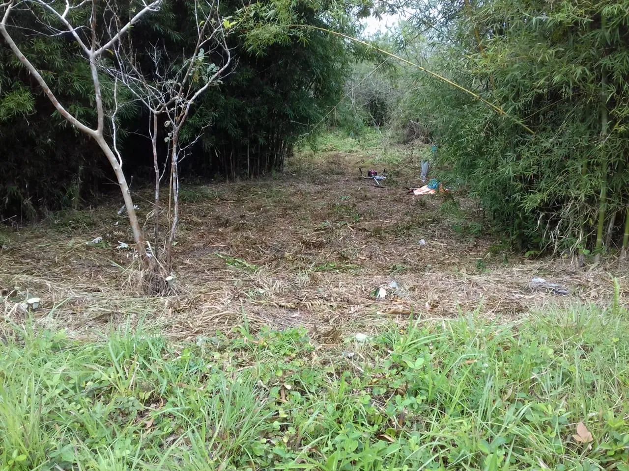 Vendo lote em Iguape !!  - Foto 2