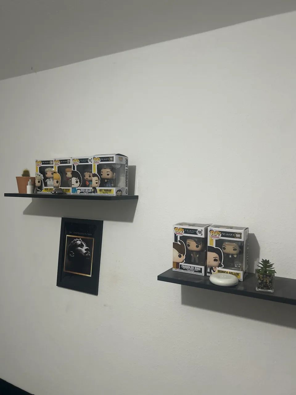 Funko Friends coleçao