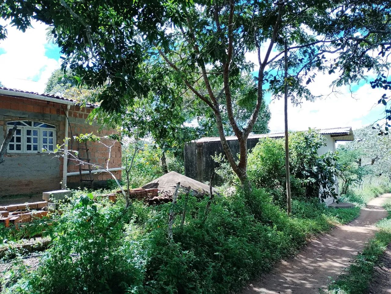 Vendo sítio meio equitare  - Foto 4