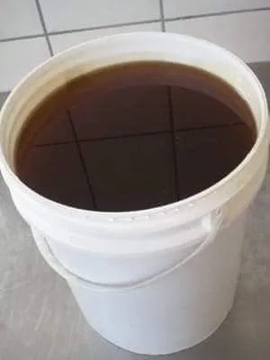 Mel Puro Silvestre de São Joaquim - Foto 2