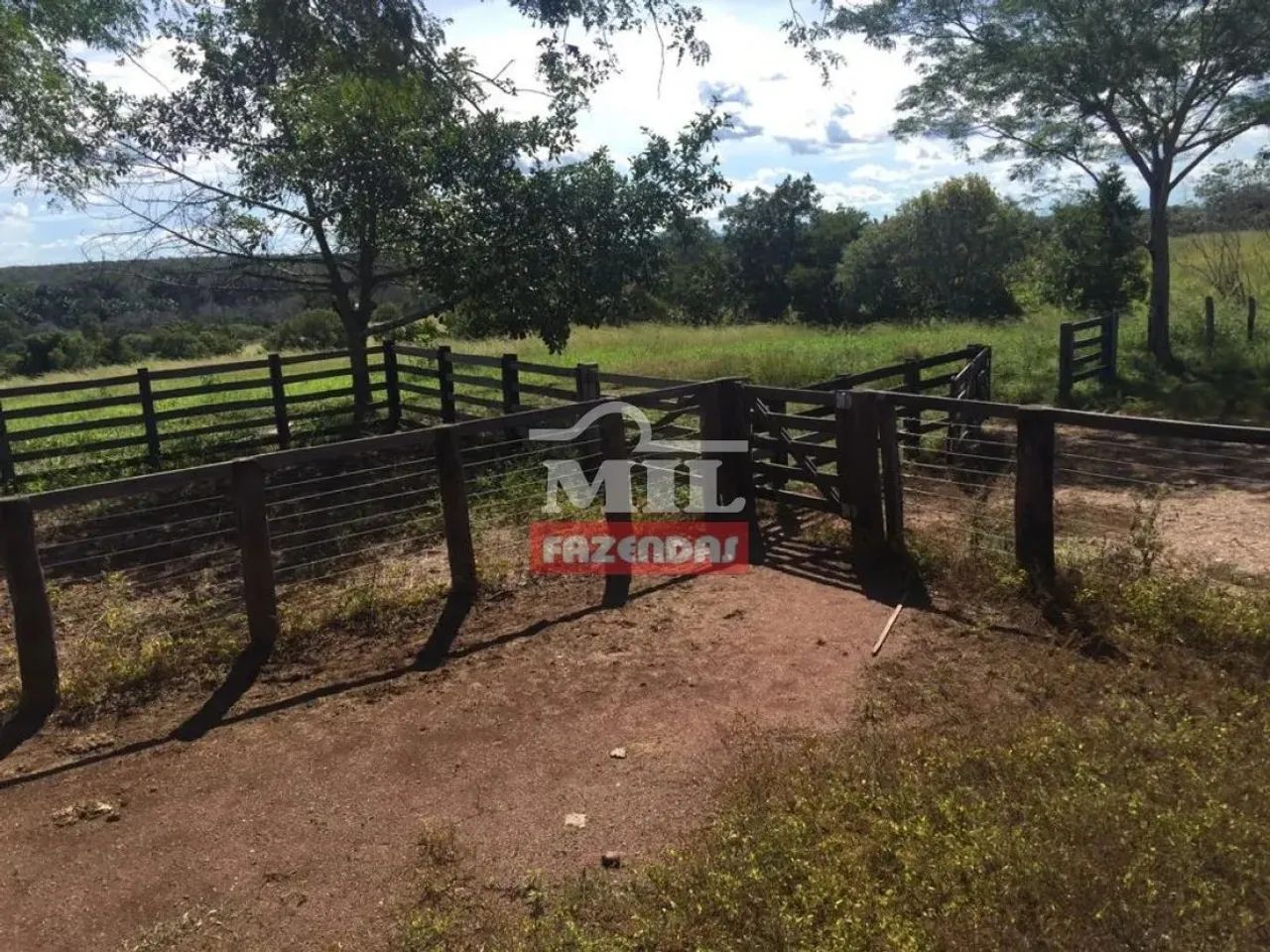 Fazenda 89 Alqueires (430 Hectares) Miracema - TO - Foto 3