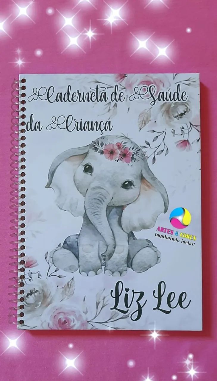CADERNETA DE SAÚDE E CARTÃO DO SUS 