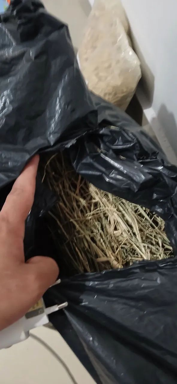 Estou vendendo ração e feno para coelho. - Foto 3