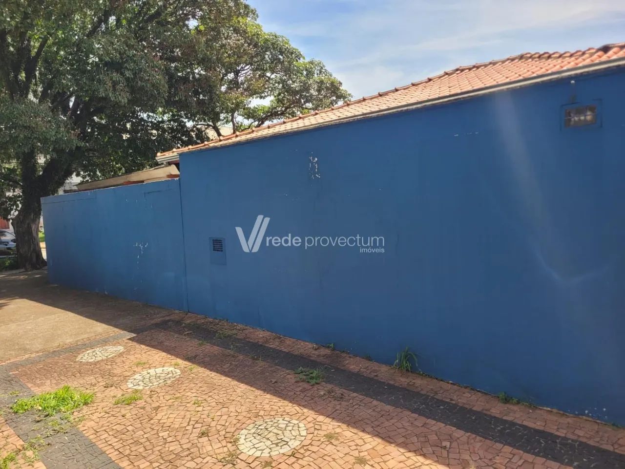casa - Cambuí - Campinas - Foto 3