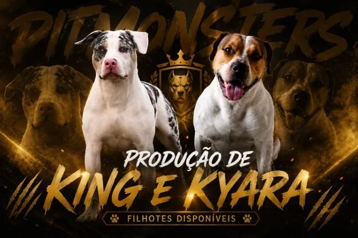 Pit Monsters 