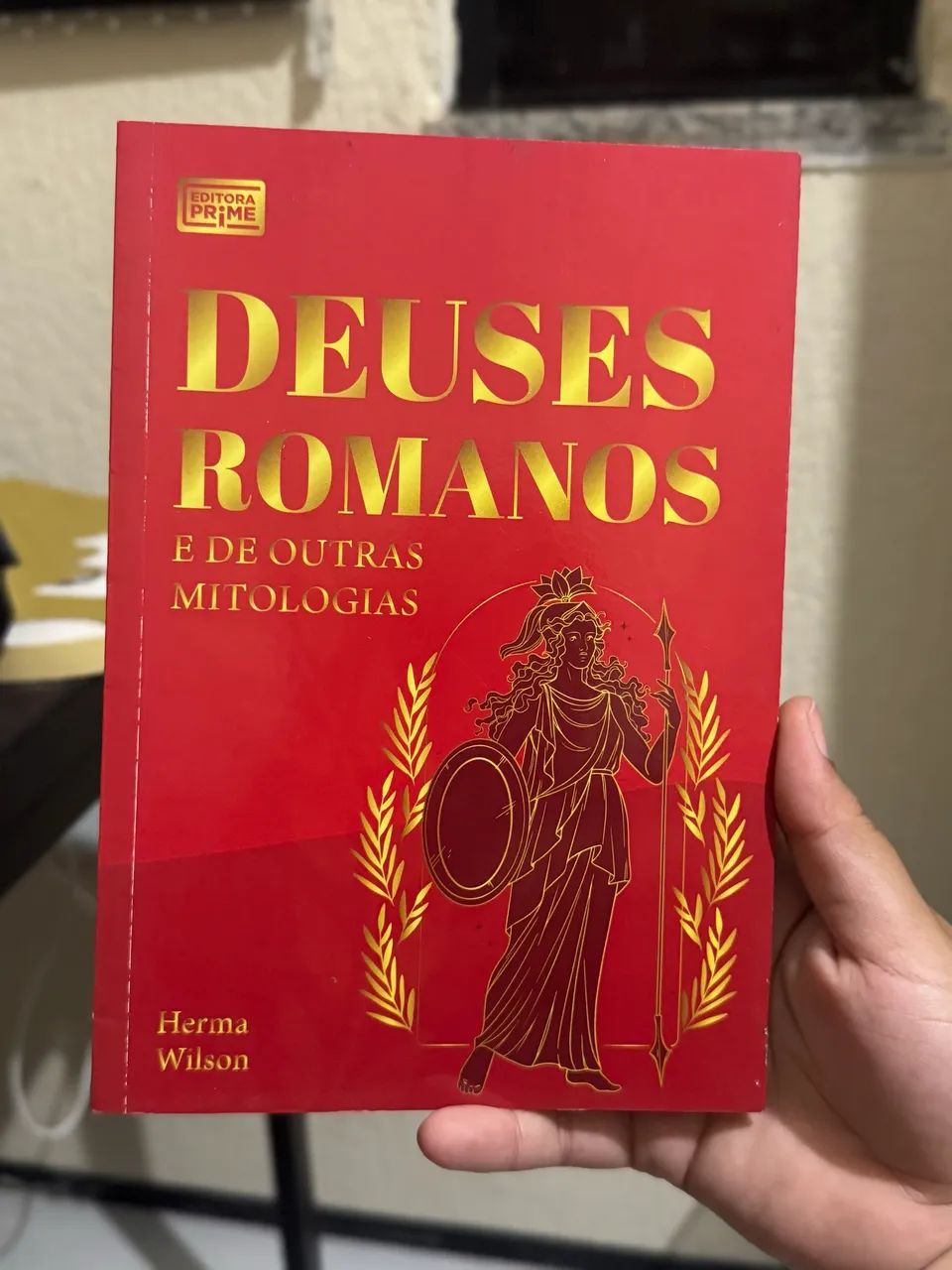 Livros (desapegos) - Foto 4