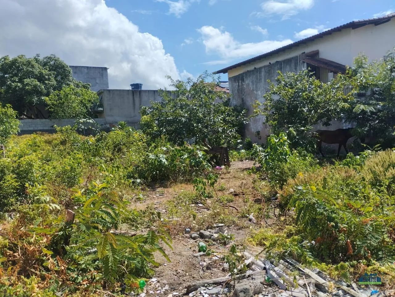 TERRENO 360m² PRÓXIMO AO TERMINAL DE VV - Foto 2