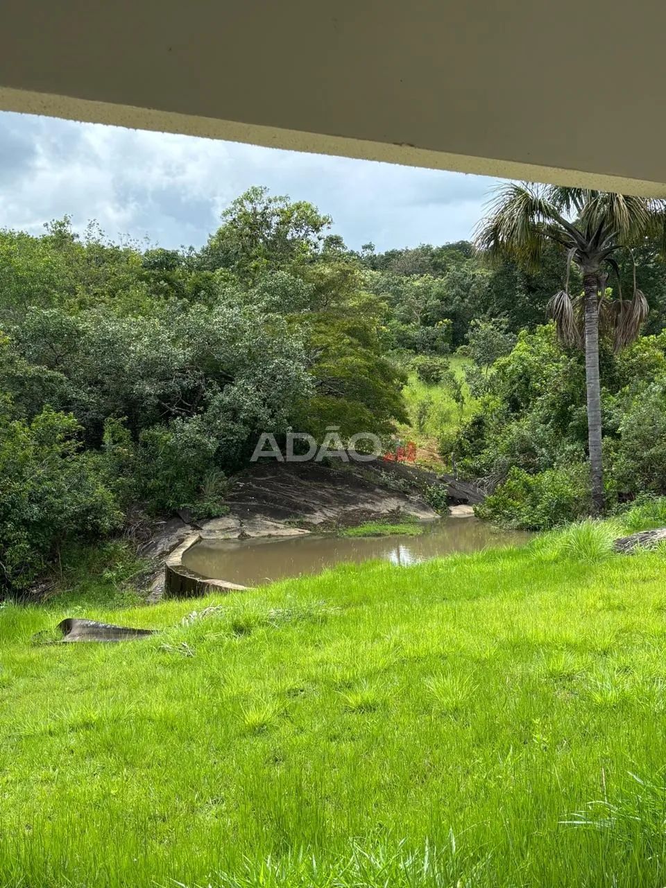 Chácara 20.000m2 - Foto 4
