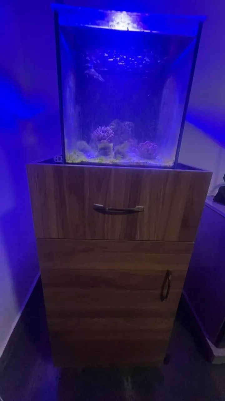 Aquário Marinho com Sump Traseiro, Movel e Luminária. 10x sem juros
