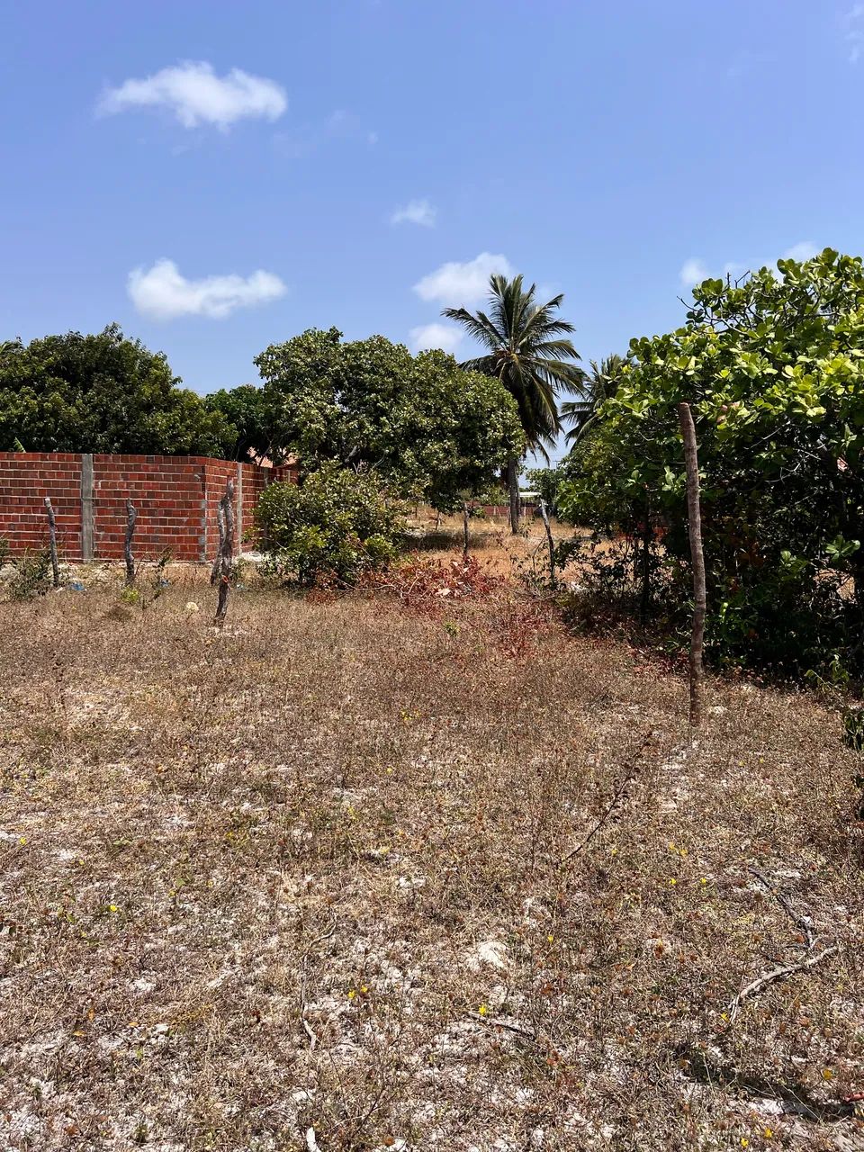 VENDO OU TROCO EM CARRO  TERRENO CENTRO FORTIN -CE  - Foto 2