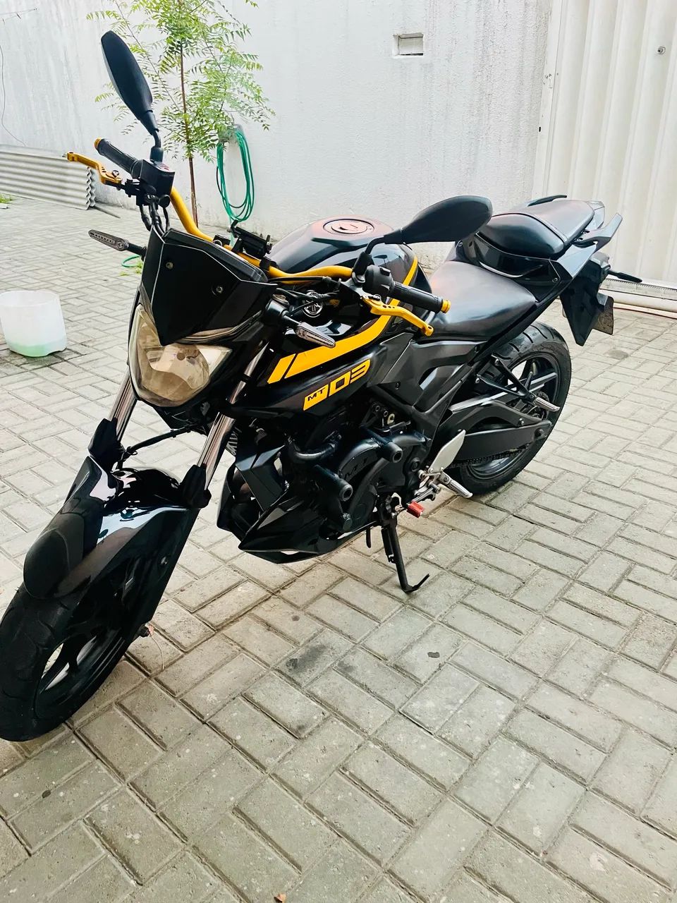 MT 03 2019 - Foto 2