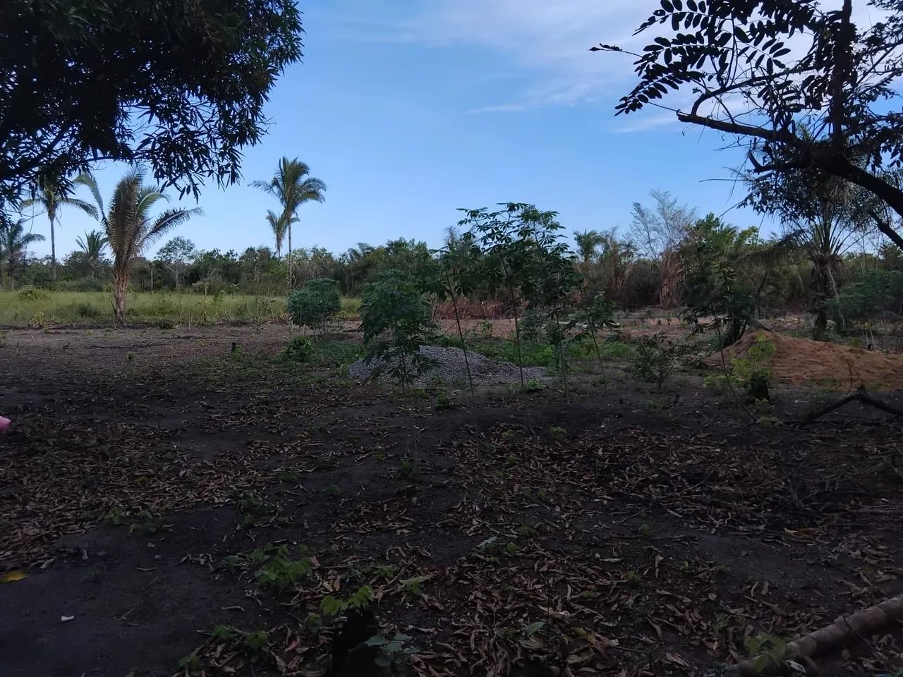 Terreno gigantesco  - Foto 3