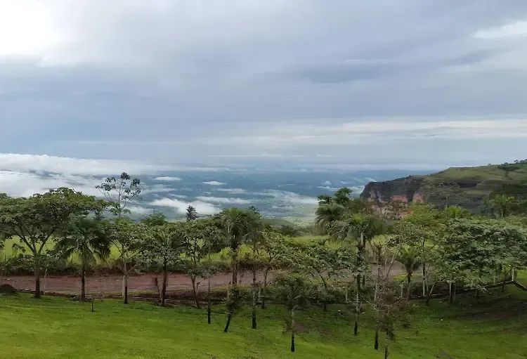 Terreno à Venda, Jardim Paulista, Cuiabá codigo: 326656 - Foto 5