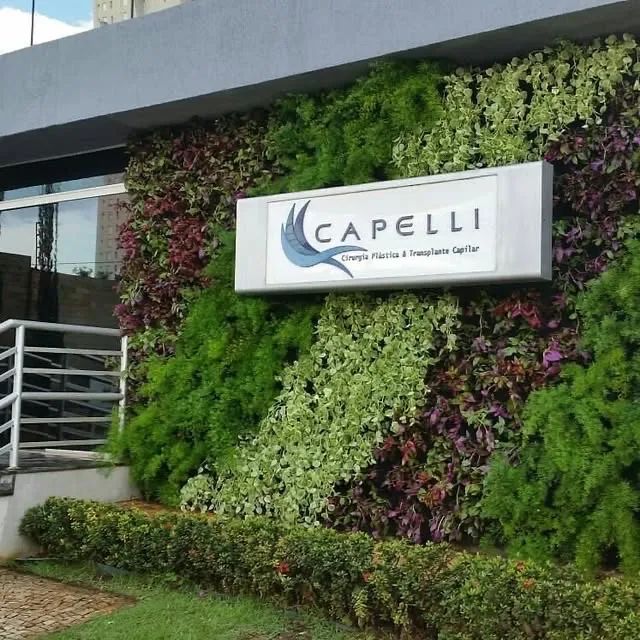 Jardim vertical  - Foto 2