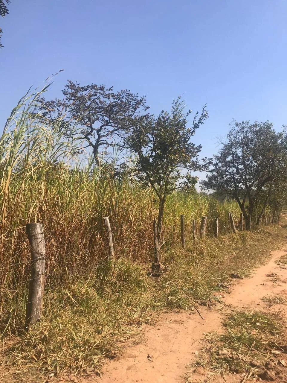 Terreno à venda, Paraíso - Divinópolis/MG - Foto 2