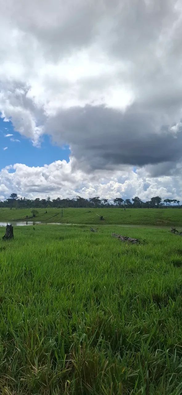 Vende-se terra  - Foto 5