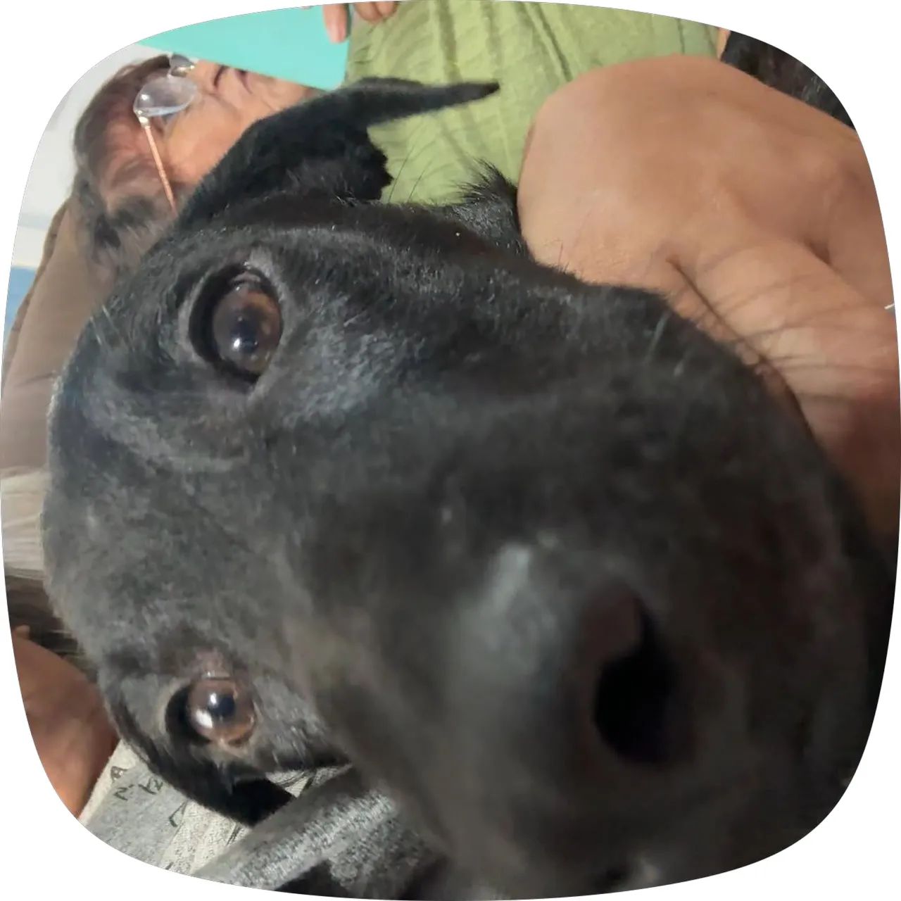 Doação responsável  - Foto 4