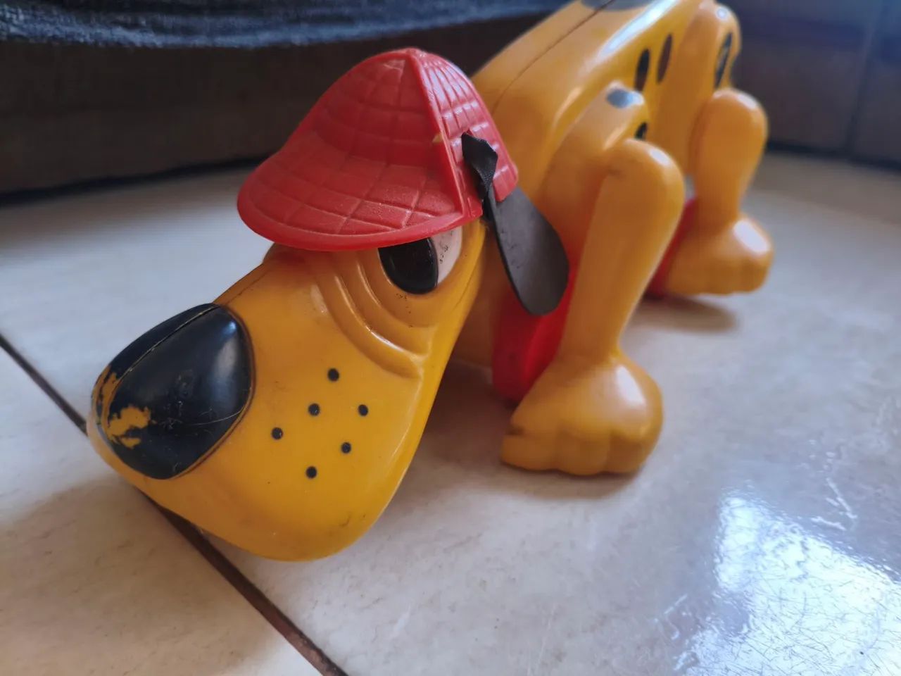 Cachorro Xereta Estrela  - Foto 3