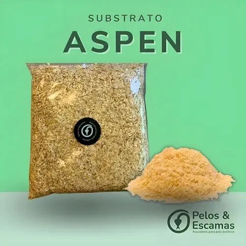 Aspen bedding for hamsters, reptiles, and rodents