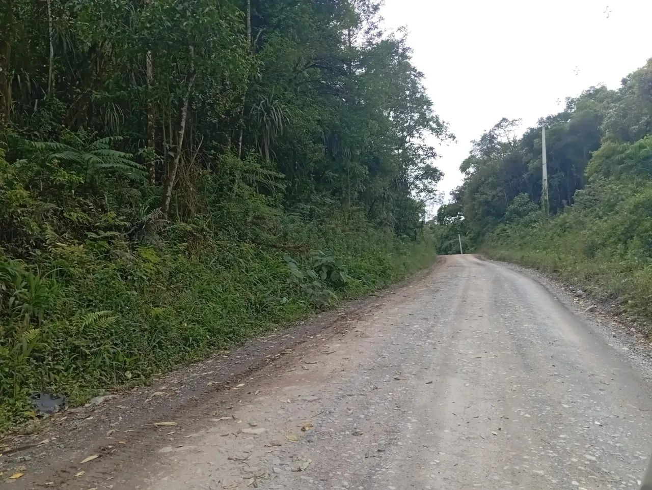 Foto - Campo Magro - 