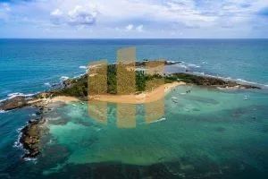 Terreno dos Sonhos à Beira-Mar em Sirinhaém, PE! - Foto 2