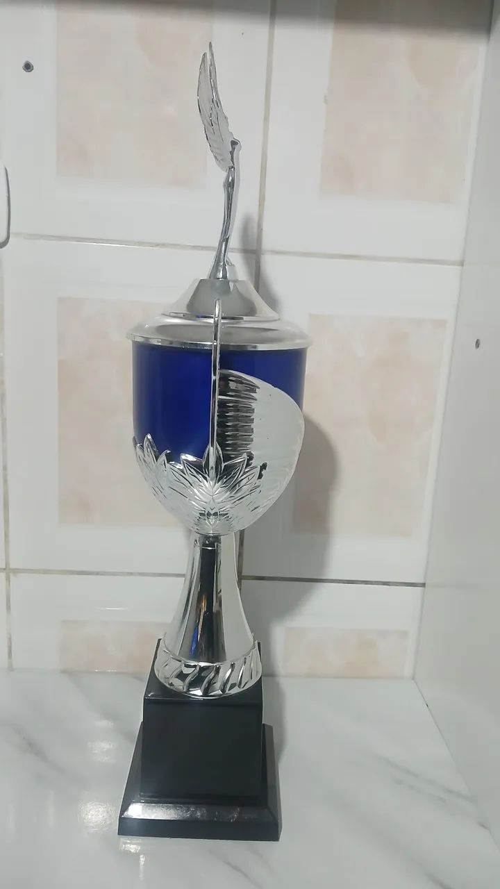 TROFÉU - Foto 3