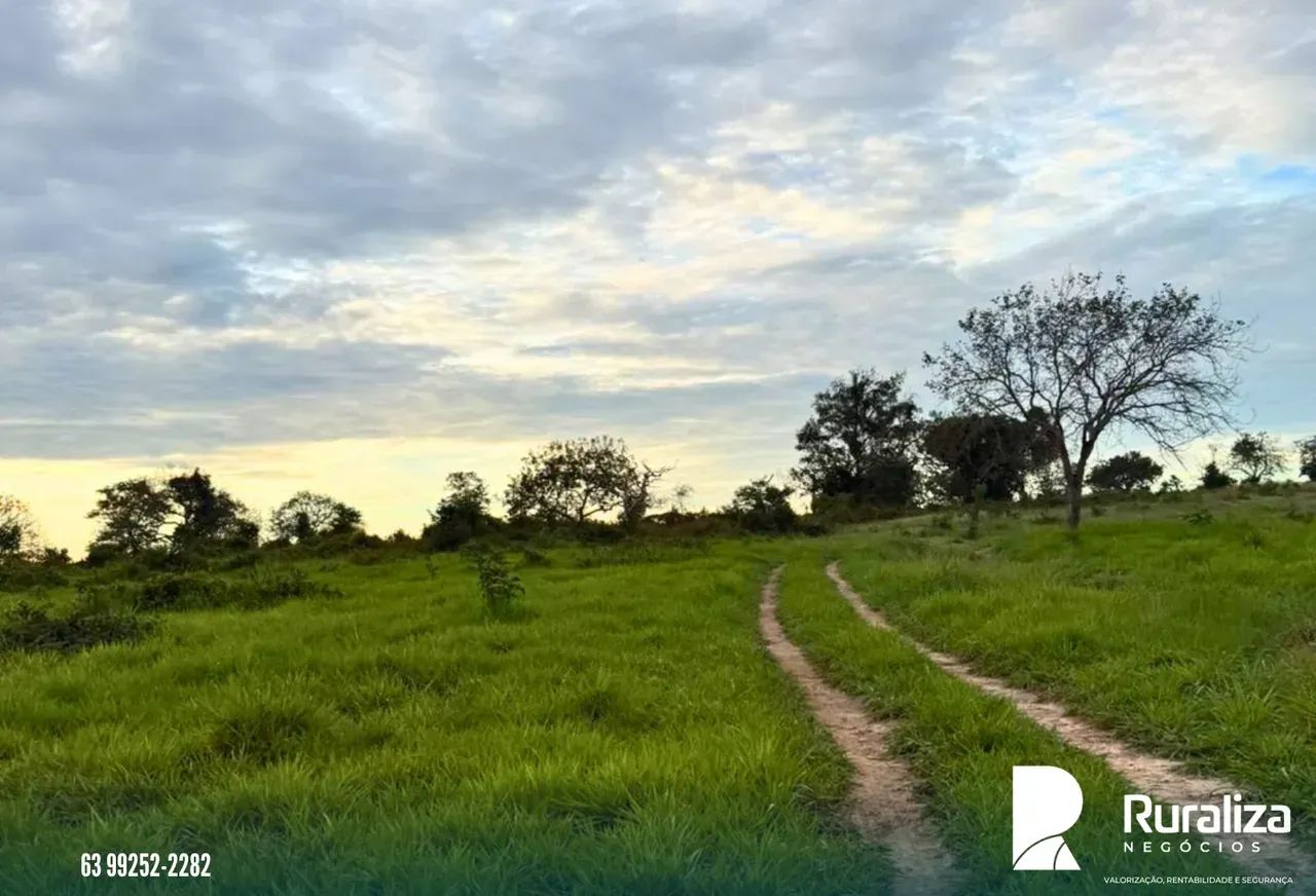 Fazenda Ideal Para Pecuária | Aceita troca Próximo a Araguaína. - Foto 3